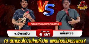 เว็บดูไก่ชน ออนไลน์