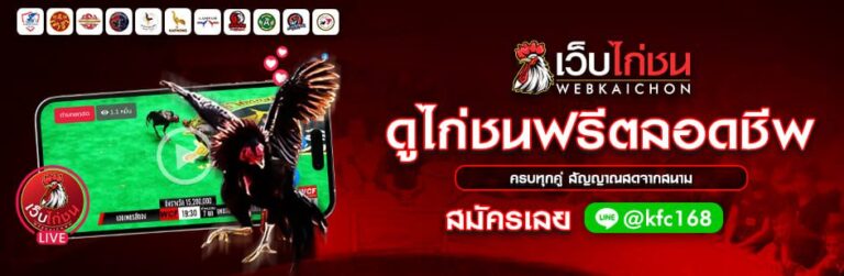 บทความไก่ชน2-ดูไก่ชนฟรี