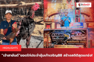“เจ้าสายันต์”ยอดไก่ประจำซุ้มเก้าเจริญ88 สร้างสถิติสุดแกร่ง