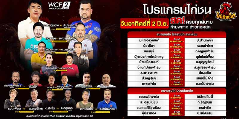 ไก่ชน เงินล้าน คู่ดัง