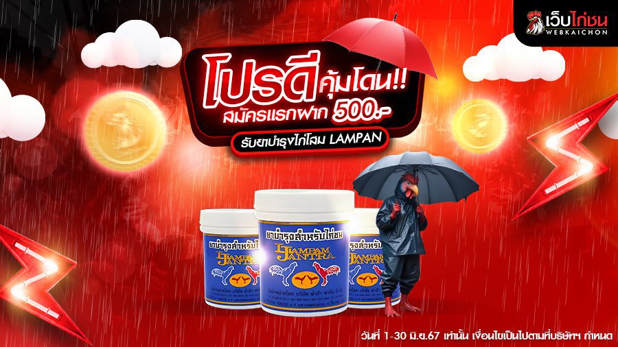 โปรดีคุ้มโดนN-900x506-1