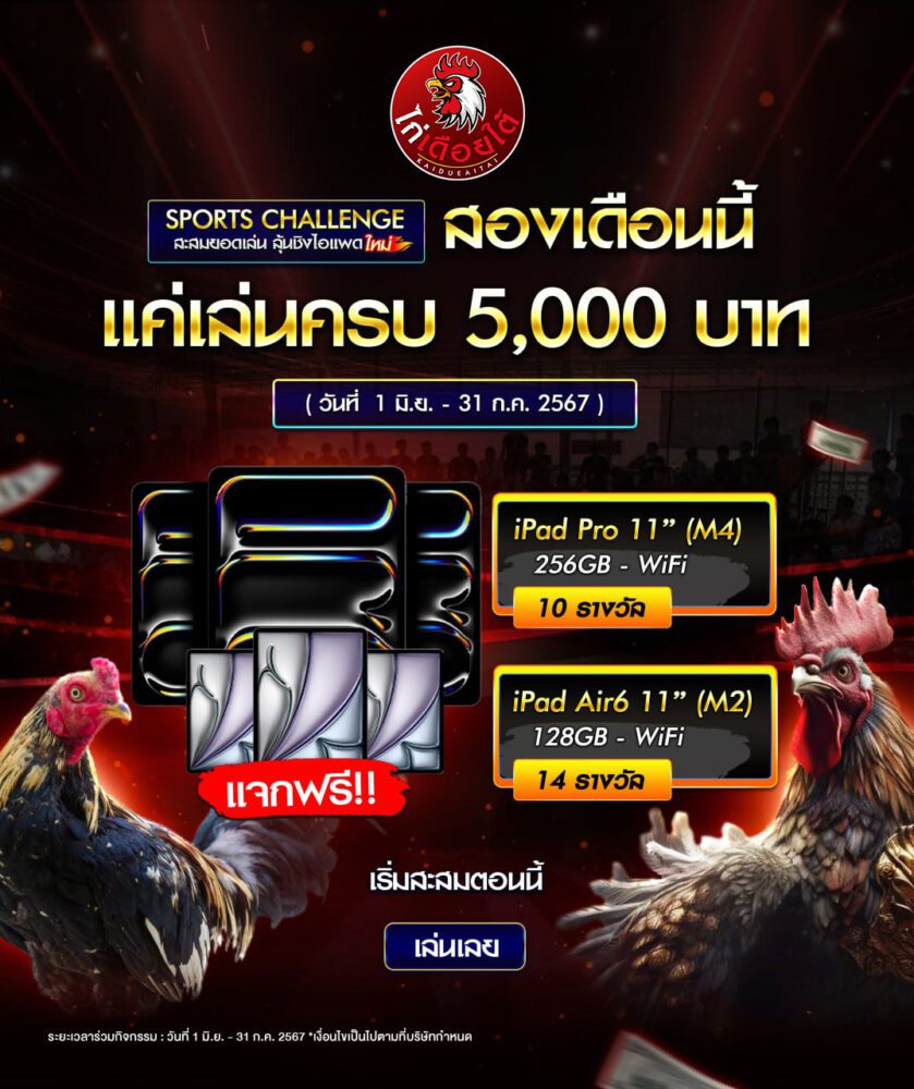 กิจกรรมไก่ชน