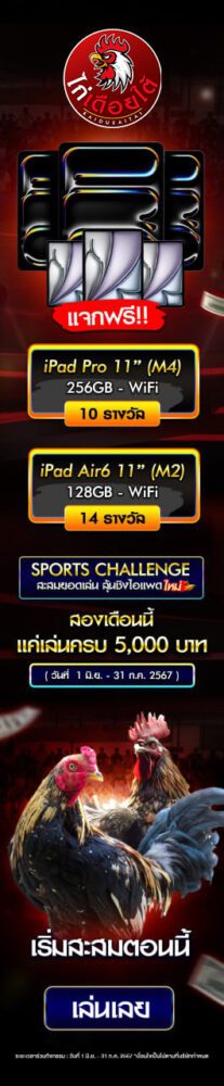 กิจกรรมไก่ชน
