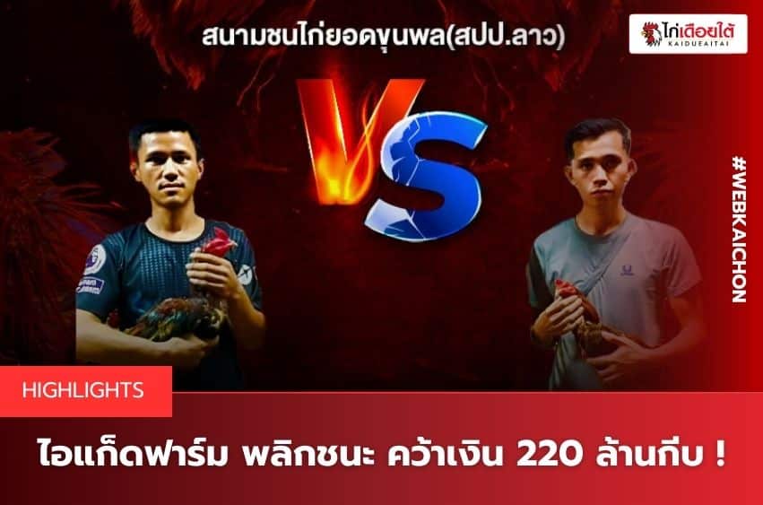 ข่าวไก่ชนล่าสุด