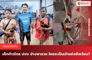 ข่าวไก่ชนวันนี้