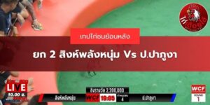คลิปย้อนหลังป.ปาภูงา