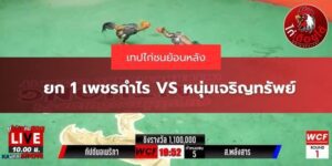 คลิปย้อนหลังส.พลังสาร