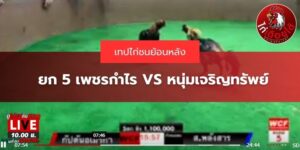 คลิปย้อนหลังไก่ชน