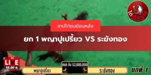 คลิปไก่ชนคู่53ล้าน