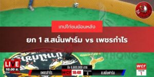 คลิปไก่ชนย้อนหลัง