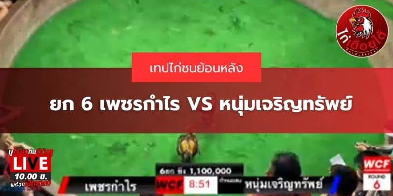 คลิปไก่ชนสด