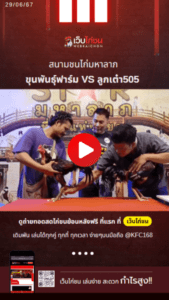 ดูตัวไก่ชน