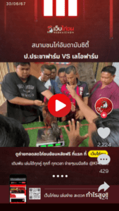 ถ่ายทอดสดไก่ชน