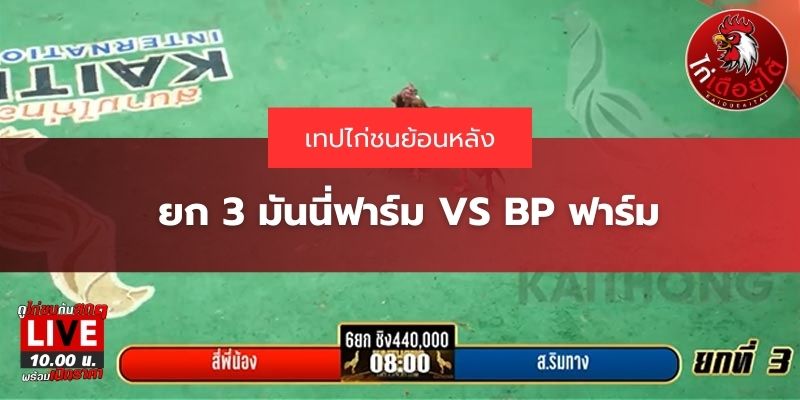 ถ่ายทอดสดไก่ชน