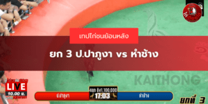 เทปไก่ชนย้อนหลัง
