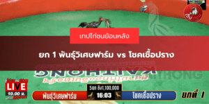 ยก 1 พันธุ์วิเศษฟาร์ม vs โชคเชื้อปราง