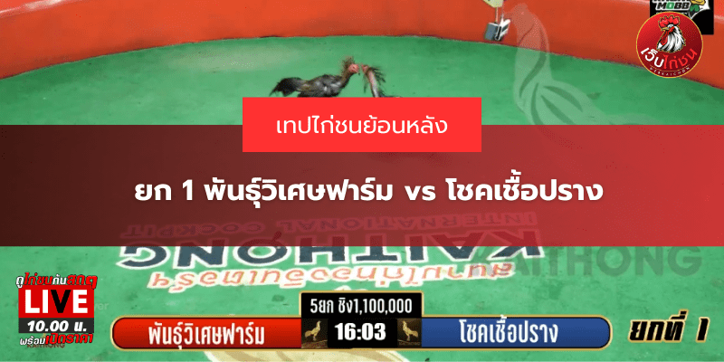 ยก 1 พันธุ์วิเศษฟาร์ม vs โชคเชื้อปราง