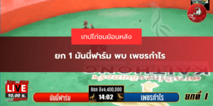ยก 1 มันนี่ฟาร์ม พบ เพชรกำไร
