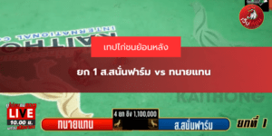 ยก 1 ส.สนั่นฟาร์ม vs ทนายแทน