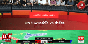ยก 1 เพชรกำไร vs ท่าช้าง