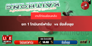 ยก 1 โกมินทร์ฟาร์ม vs ซ้อสั่งลุย