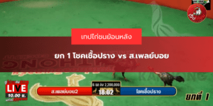 ยก 1 โชคเชื้อปราง vs ส.เพลย์บอย