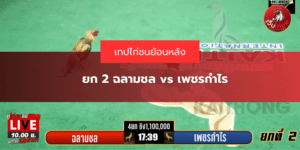 ยก 2 ฉลามชล vs เพชรกำไร