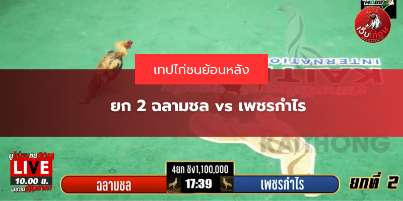 ยก 2 ฉลามชล vs เพชรกำไร