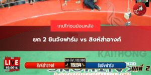 ยก 2 ชินจังฟาร์ม vs สิงห์สำอางค์