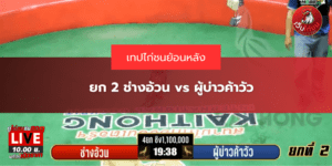 ยก 2 ช่างอ้วน vs ผู้บ่าวค้าวัว