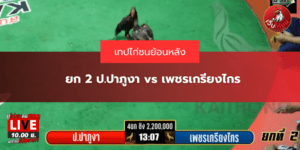 ยก 2 ป.ปาภูงา vs เพชรเกรียงไกร