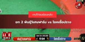 ยก 2 พันธุ์วิเศษฟาร์ม vs โชคเชื้อปราง