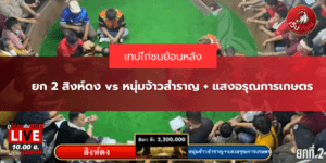 ยก 2 สิงห์ดง vs หนุ่มจ้าวสำราญ + แสงอรุณการเกษตร