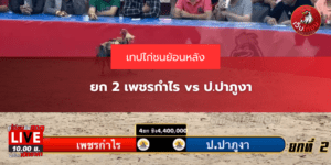 ยก 2 เพชรกำไร vs ป.ปาภูงา