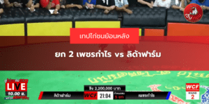 ยก 2 เพชรกำไร vs ลิด้าฟาร์ม