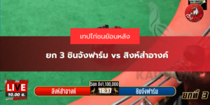 ยก 3 ชินจังฟาร์ม vs สิงห์สำอางค์