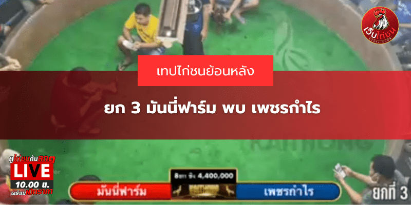 ยก 3 มันนี่ฟาร์ม พบ เพชรกำไร