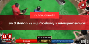 ยก 3 สิงห์ดง vs หนุ่มจ้าวสำราญ + แสงอรุณการเกษตร