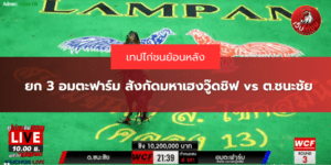 ยก 3 อมตะฟาร์ม สังกัดมหาเฮงวู๊ดชิฟ vs ต.ชนะชัย