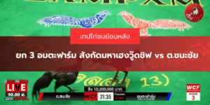 ยก 3 อมตะฟาร์ม สังกัดมหาเฮงวู๊ดชิฟ vs ต.ชนะชัย