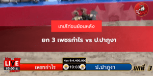 ยก 3 เพชรกำไร vs ป.ปาภูงา