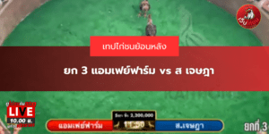 ยก 3 แอมเฟย์ฟาร์ม vs ส เจษฎา