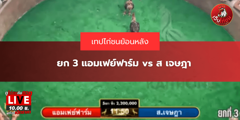 ยก 3 แอมเฟย์ฟาร์ม vs ส เจษฎา