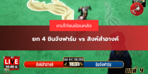 ยก 4 ชินจังฟาร์ม vs สิงห์สำอางค์