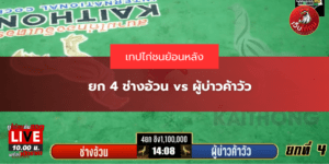ยก 4 ช่างอ้วน vs ผู้บ่าวค้าวัว