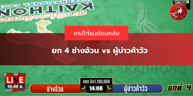 ยก 4 ช่างอ้วน vs ผู้บ่าวค้าวัว