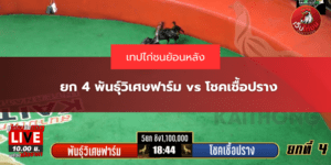 ยก 4 พันธุ์วิเศษฟาร์ม vs โชคเชื้อปราง