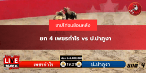 ยก 4 เพชรกำไร vs ป.ปาภูงา