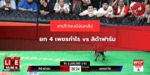 ยก 4 เพชรกำไร vs ลิด้าฟาร์ม