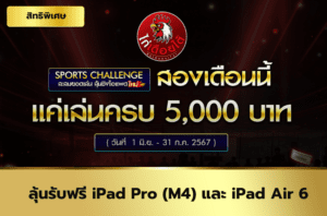 กิจกรรมไก่ชน